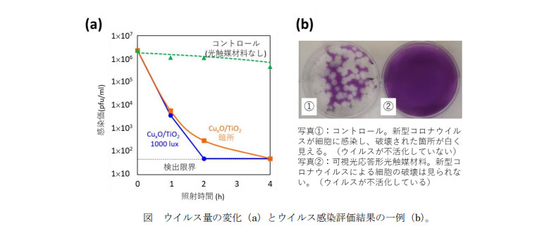 ウイルス感染評価結果